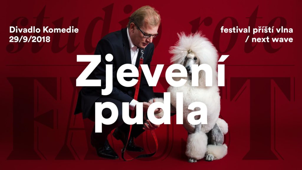 Martin Pechlát v nové inscenaci Zjevení pudla v Divadle Komedie