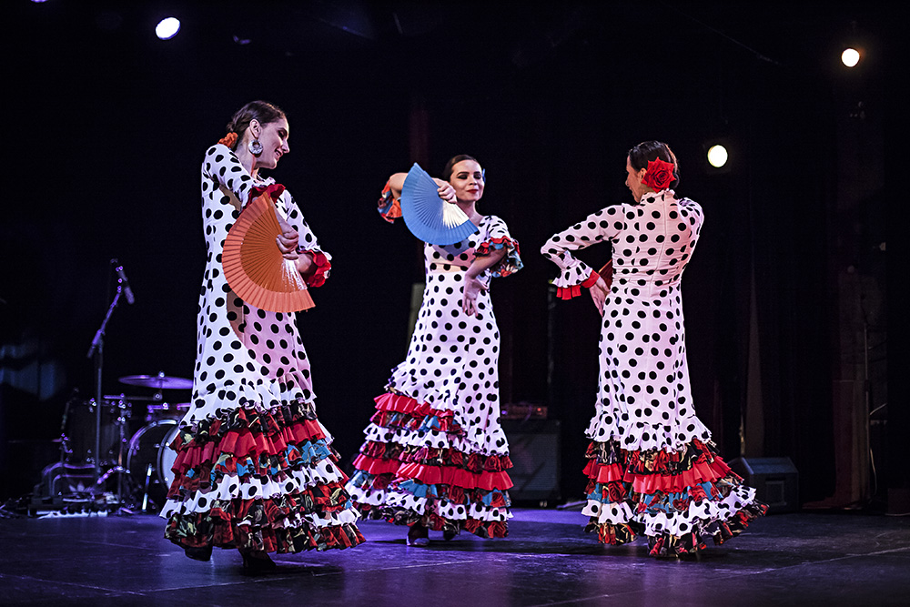 Festival Den flamenka 2019