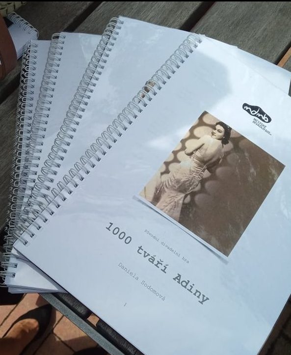 Městské divadlo v Mladé Boleslavi připravuje inscenaci o Adině Mandlové