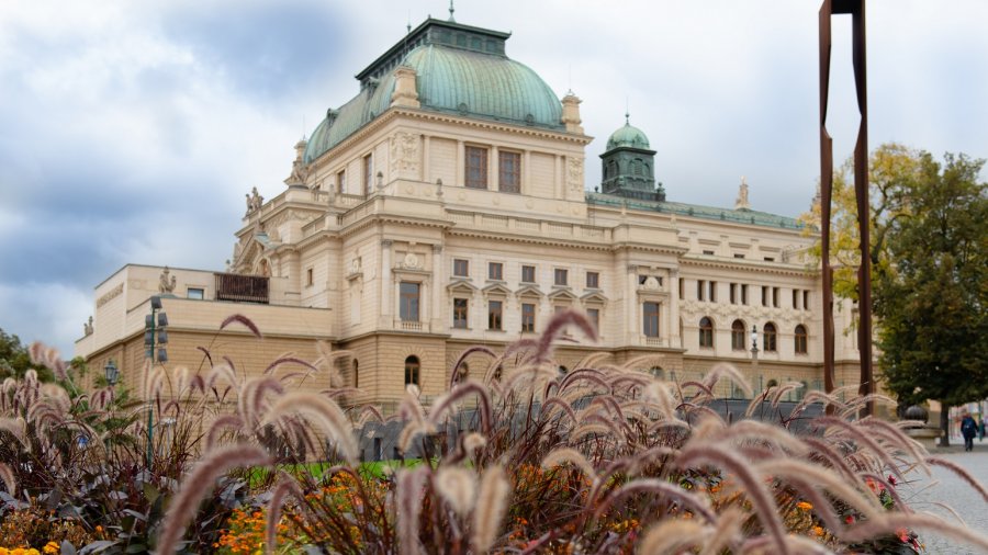 Divadlo J. K. Tyla odehrálo loni kvůli covidu třetinu z obvyklého množství představení