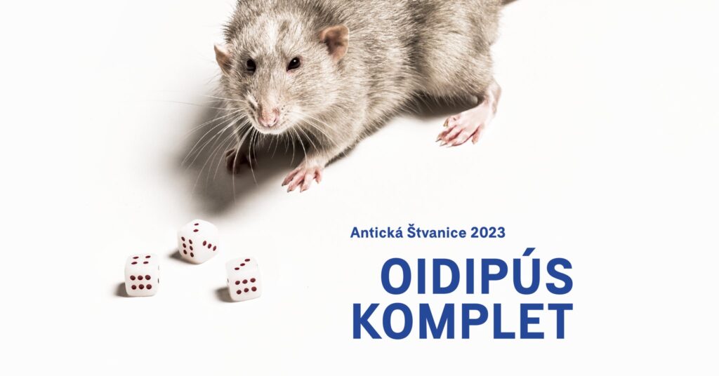 Na festivalu Antická Štvanice bude mít premiéru tragédie Král Oidipús