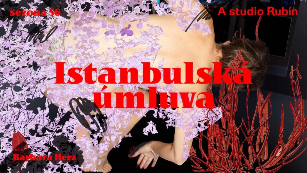 A studio Rubín uvádí novou dokumentární inscenaci režisérky Barbary Herz Istanbulská úmluva