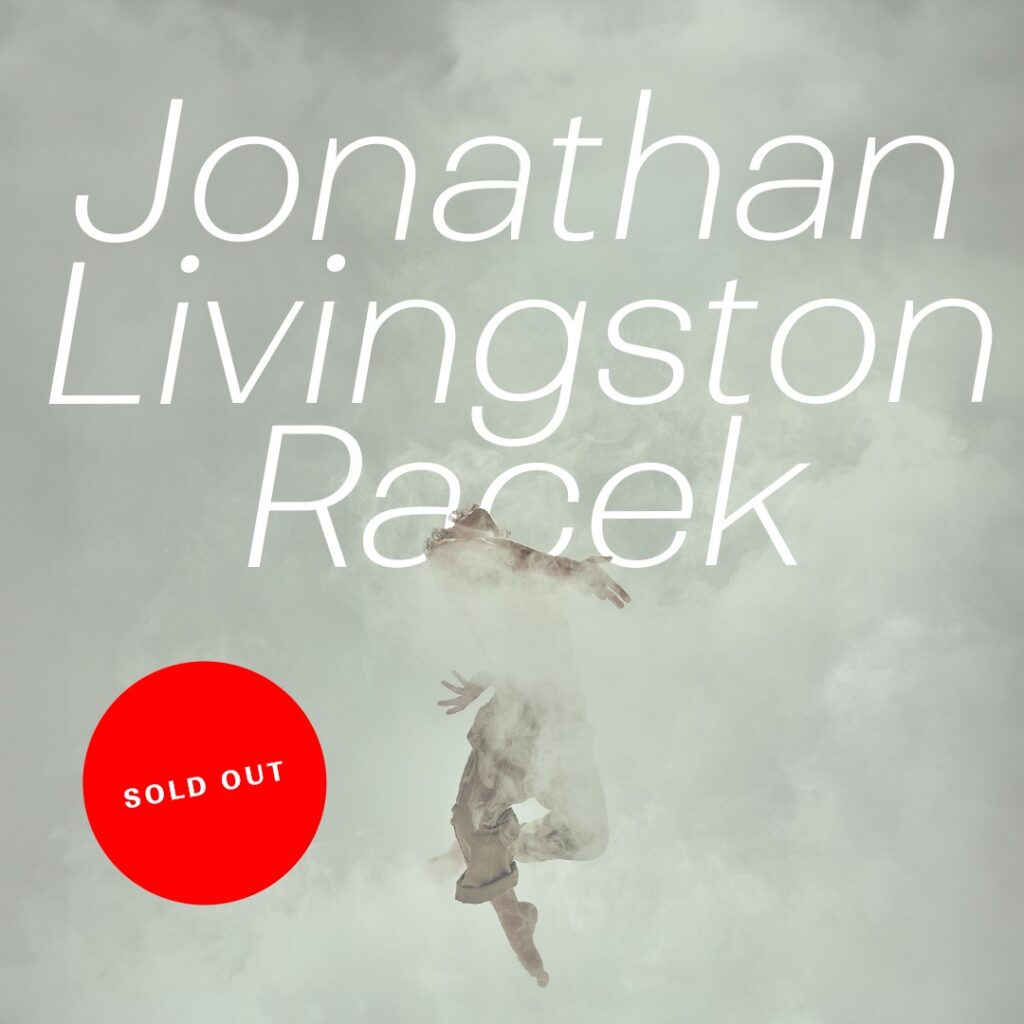 V Rudolfinu se uskuteční premiéra inscenace Jonathan Livingston Racek