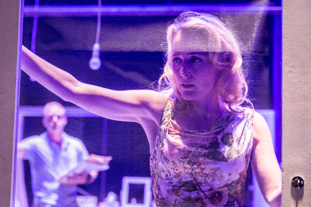 Tramvaj do stanice Touha s Gillian Anderson se vrací do kin