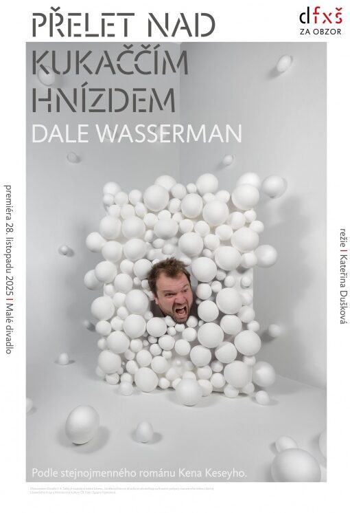 Přelet nad kukaččím hnízdem novou premiérou činohry Divadla F. X. Šaldy v Liberci