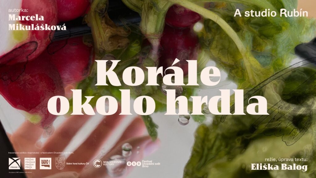 Poezie se vrací do Rubínu: A studio Rubín uvede multižánrovouinscenaci Korále okolo hrdla