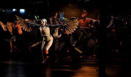 Festival ARENA Divadla bratří Formanů se stěhuje na ostrov Štvanice